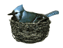 kul animerede-billeder-gif